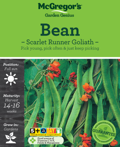 McGregor's Beans Scarlet Runner Goliath Vegetable Seed Packet