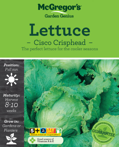 McGregor's Lettuce Cisco Crisphead Vegetable Seed Packet