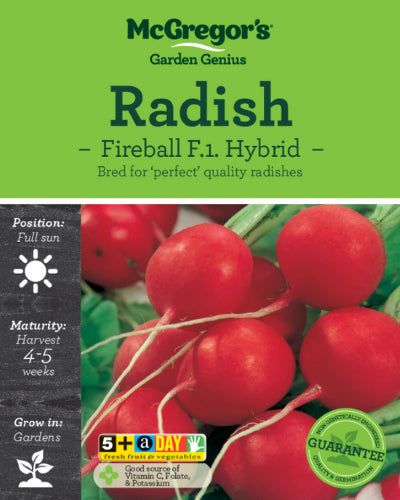 McGregor's Radish Fireball F1 Hybrid Vegetable Seed Packet