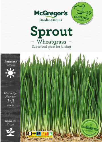 McGregor's Sprout Wheat Grass