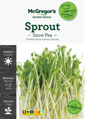 McGregor's Sprout Snow Pea