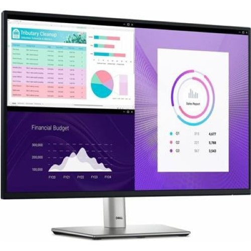 Dell MONITOR P2425H (P2425H)