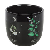 Poisonous Plants Ceramic Plant Pot