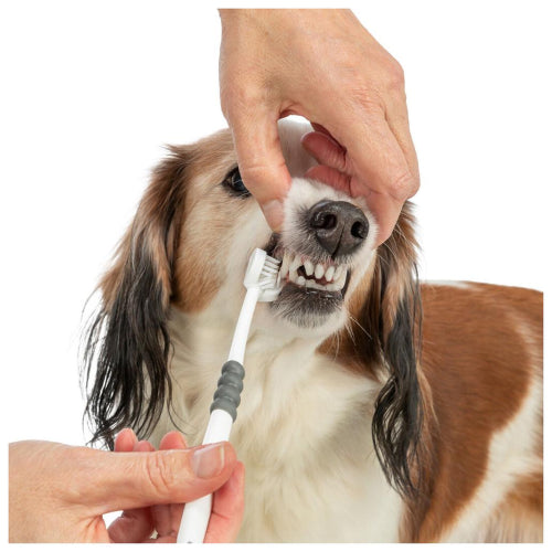 Dog Health Dental Care Trixie 3-HeadEzydog Toothbrush 18cm