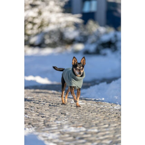 Dog Clothing Berlin Pullover M: 50cm Sage