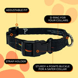 Dog Pink Floyd Prism Collar - Sml 25-40cm
