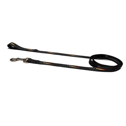 Dog Pink Floyd Prism Lead 183cm