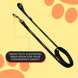 Dog Pink Floyd Prism Lead 183cm
