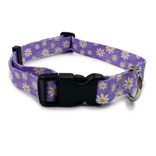 Dog Daisy Purple Collar - Sml 25-40cm
