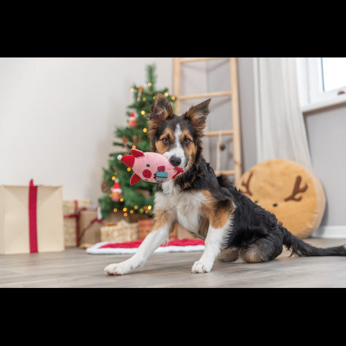 Dog Toy  Xmas Pig