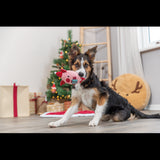 Dog Toy  Xmas Pig