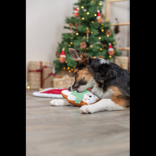 Dog Toy  Xmas Bear 20cm