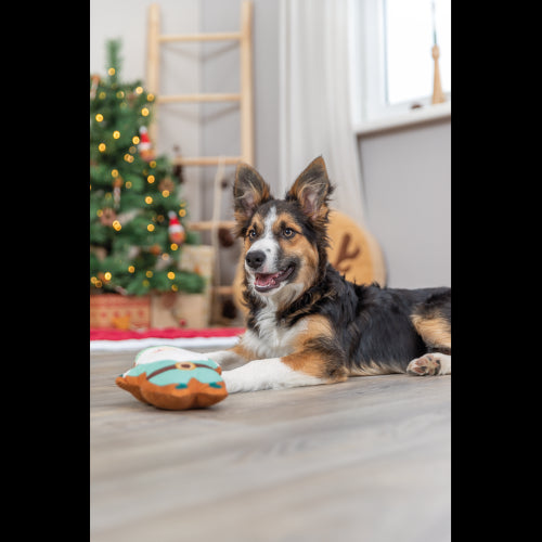 Dog Toy  Xmas Santa 22cm