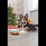 Dog Toy  Xmas Santa 22cm