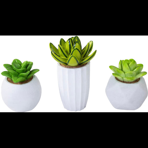 Aquatic Ornament Succulent Resin Kit