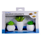 Aquatic Ornament Succulent Resin Kit