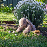 Margot Hare - Medium - Wonderlings