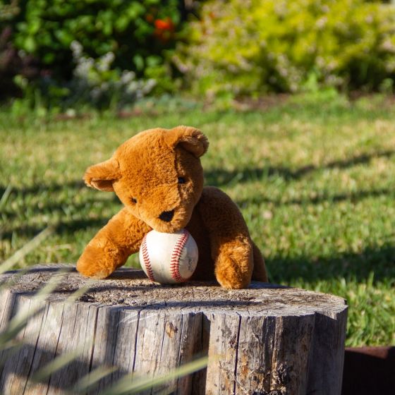 Theodore Teddy - Large - Wonderlings