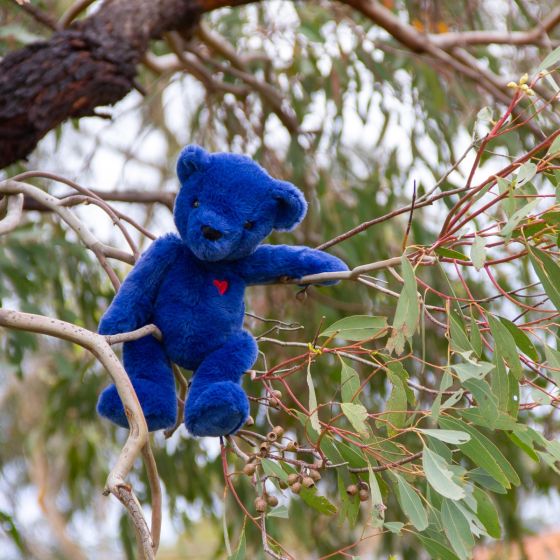 Blue Ted Teddy Bear - Medium - Wonderlings