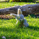 Magic Rabbit Ili Pika Rabbit - Small - Wonderlings