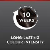 Schwarzkopf Brilliance Hair Colour 88 Dark Brown Allure 1pack