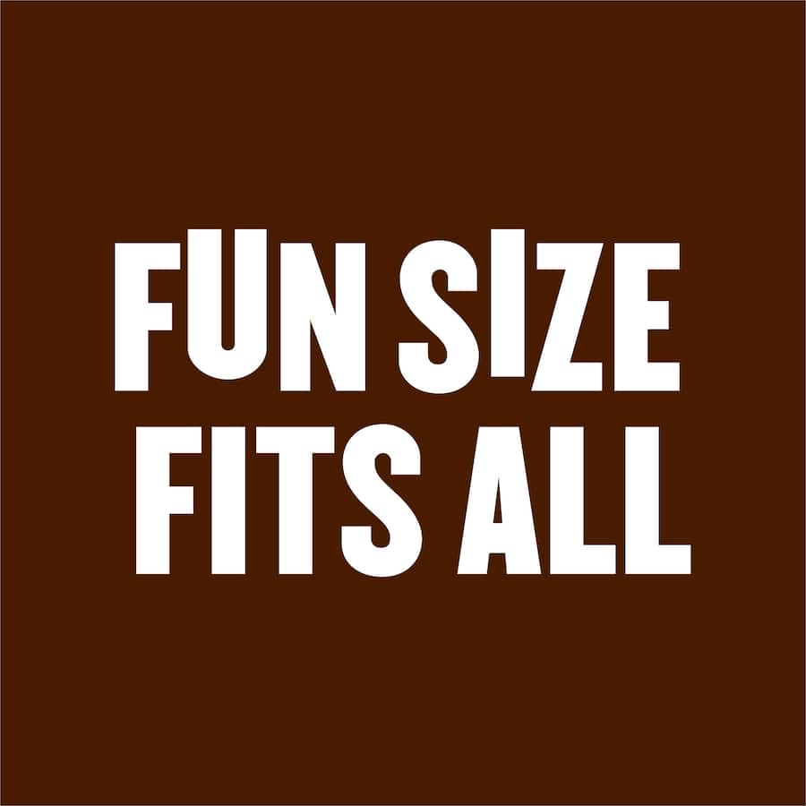 Snickers Chocolate Sharepack Fun Size 180g bag 12pack