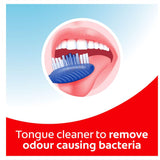 Colgate Extra Clean Toothbrush Medium Bristles Value Pack 2pack