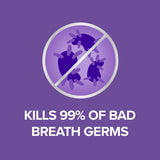 Listerine Mouthwash Total Care 10 In 1 250mL