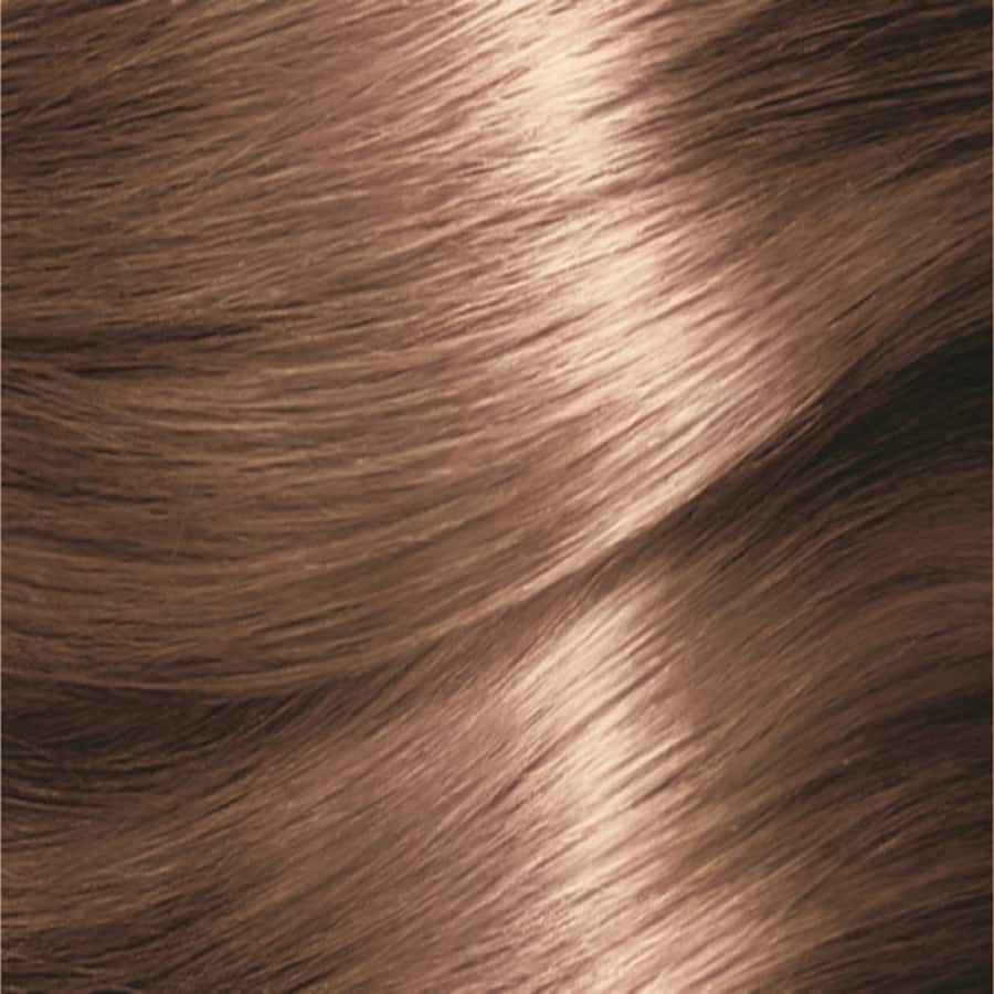 Garnier Nutrisse Hair Colour Dark Blonde 7n 1pack