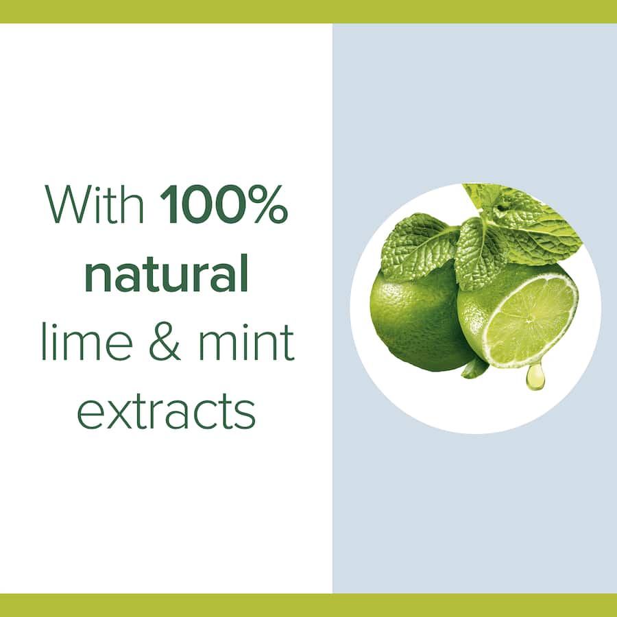 Palmolive Foaming Hand Wash Refill Antibacterial Lime Mint Refill 500mL