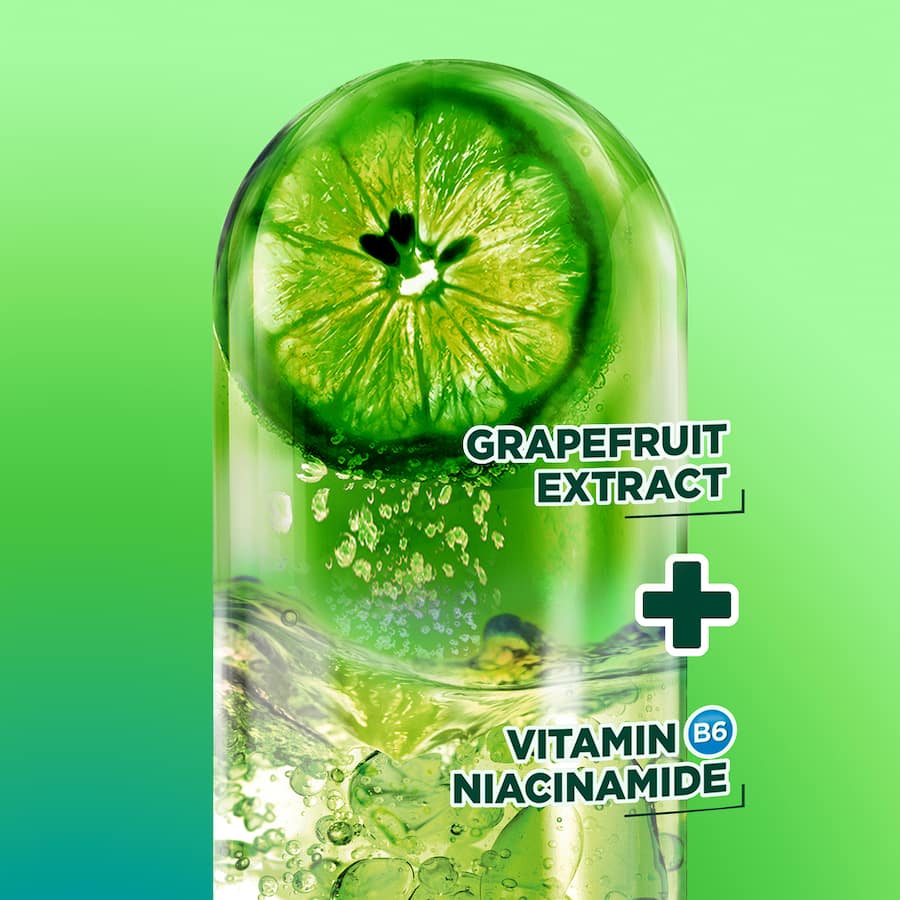 Garnier Fructis Shampoo Normal 315mL