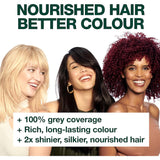Garnier Nutrisse Hair Colour Medium Ash Blonde 8.13 1pack