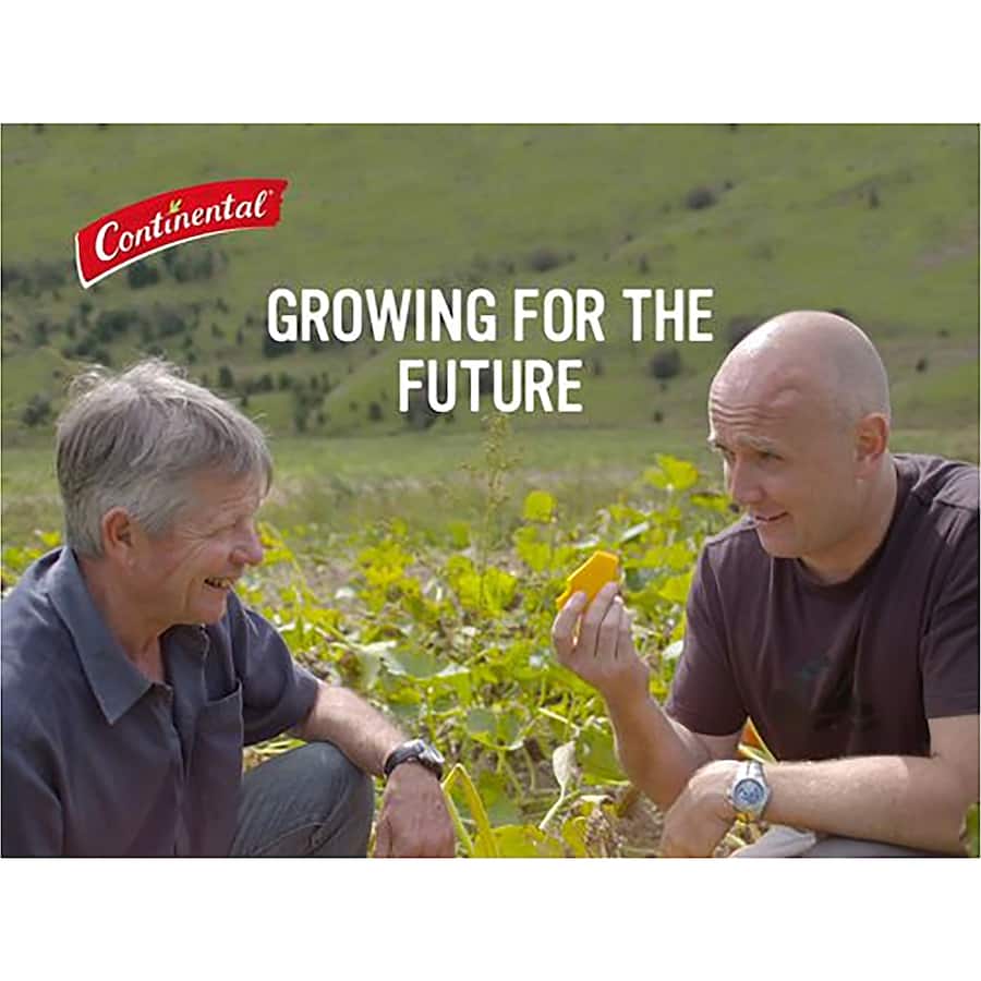 Continental Sensations Pasta & Sauce Tomato Parmesan & Basil 98g