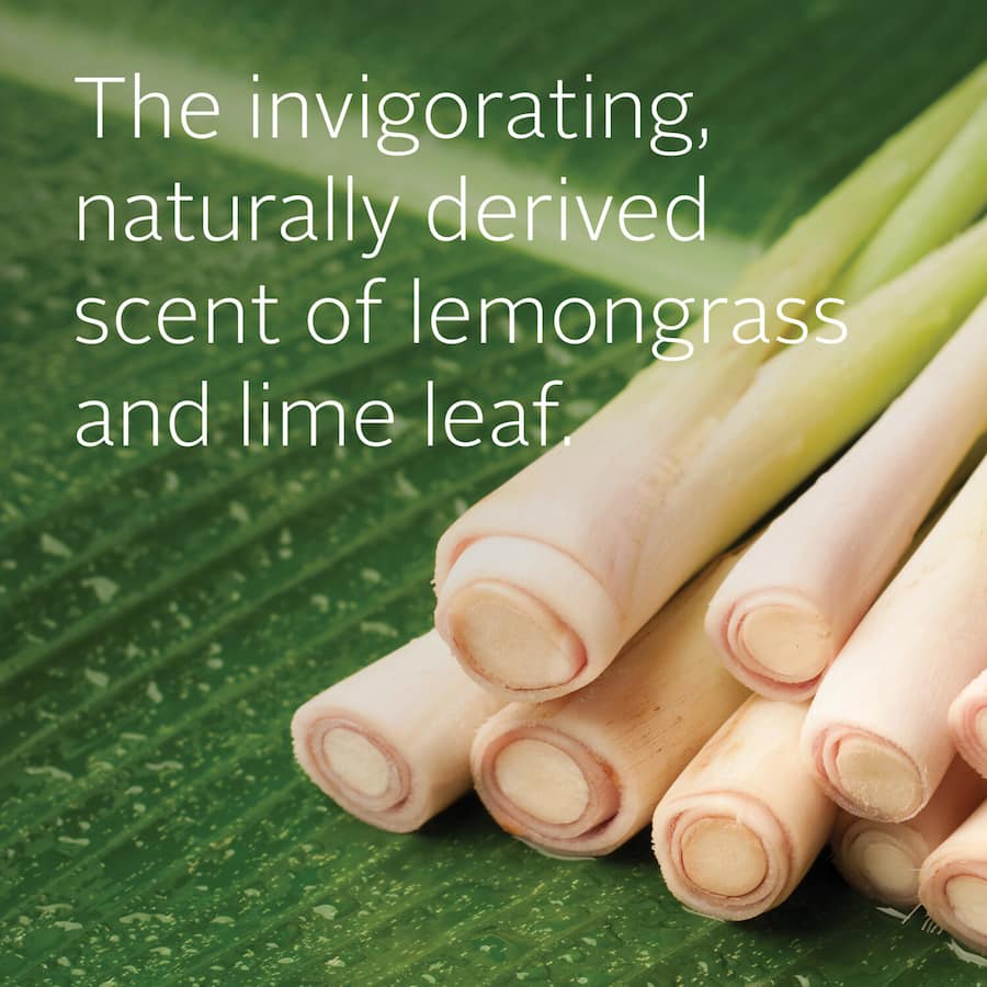 Ecostore Hand Wash Lemongrass Refill 850mL