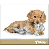 Kleenex Tissues Large N Thick 3ply Box 95pack