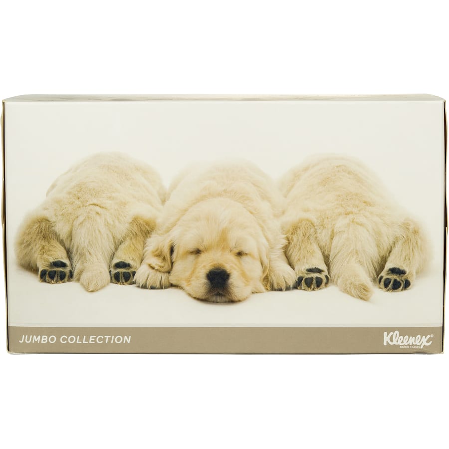Kleenex Tissues White Box 250pack