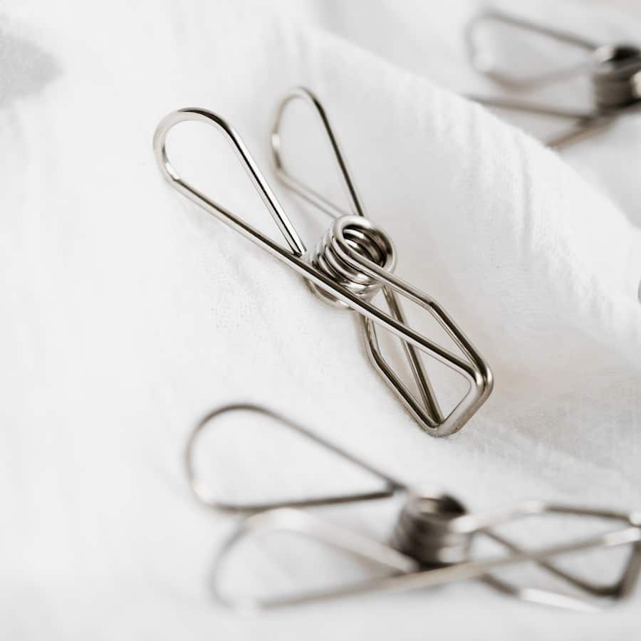 Seymours Clothes Pegs Stainless Steel 20pack
