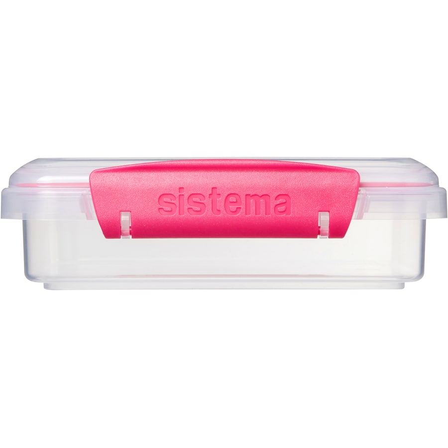 Sandwich Box To Go Lunch Box (Assorted Colours) 450mL
