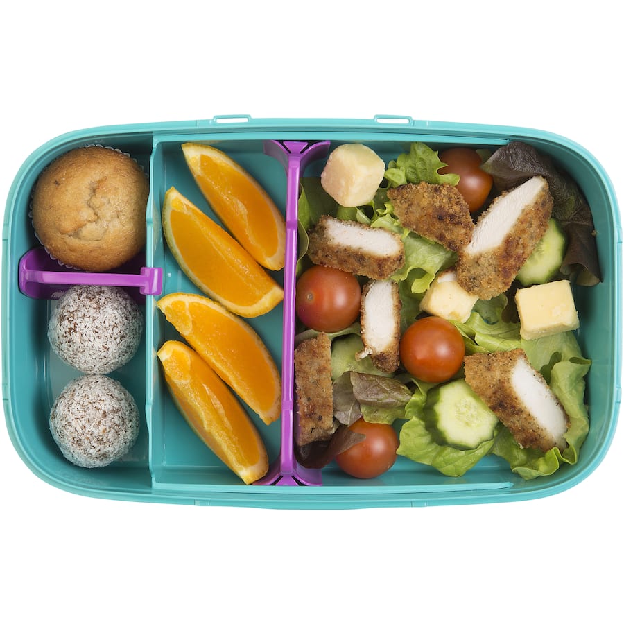 Decor Go Lunch Box Bento 2L