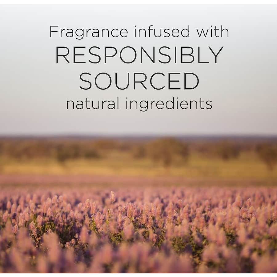 Air Wick Botanica Scented Candle Vanilla & Himalaya Magnolia 205g Each