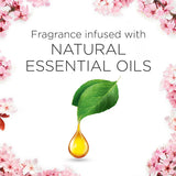 Air Wick Pure Scented Oil Plug In Cherry Blossom 19ml each refill 2pack