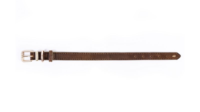 Dog Collar - ED Collar Oxford 2XS (Brown)