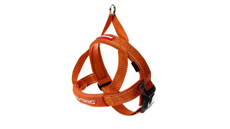 Dog Harness - ED QF S (Orange)