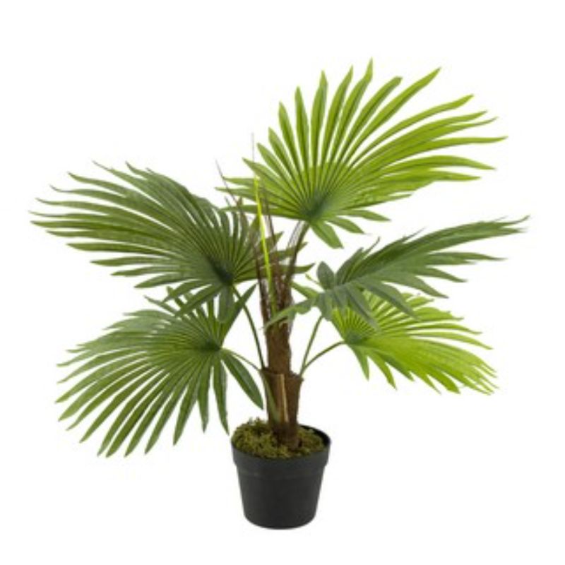 Artificial FAN PALM TREE (70cm)