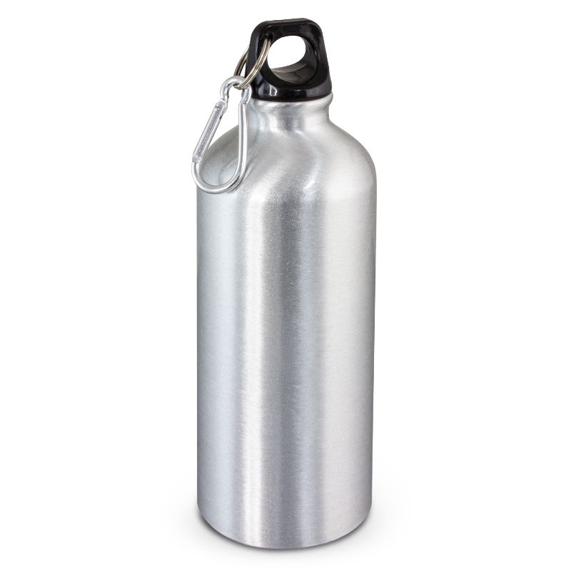 Bottle - Intrepid 600ml (Silver)