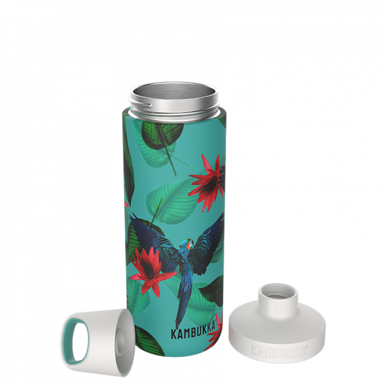 Insulated-Bottle-Reno-SS-Parrots-500ml