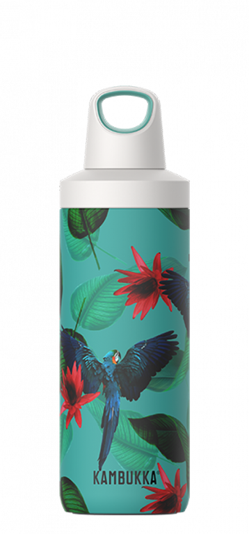 Insulated-Bottle-Reno-SS-Parrots-500ml