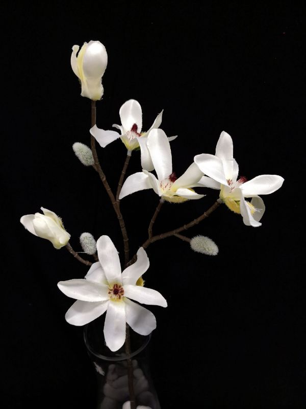 Artificial Star Magnolia Stem (Cream)