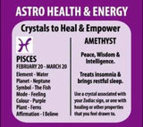 Zodiac Pendant - Amethyst Pisces (Set of 6)