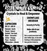 Zodiac Bracelet - Snowflake Obsidian Capricorn (Set of 6)